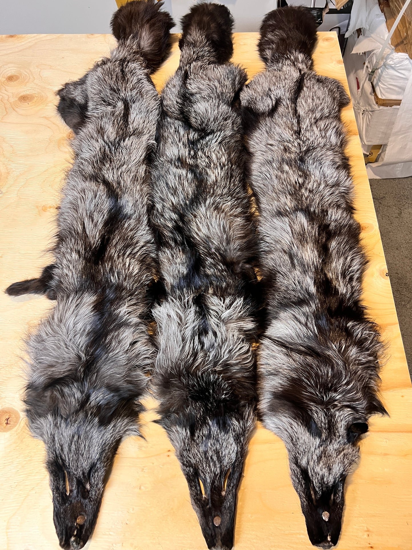 Silver Fox Fur